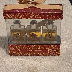 Apple Cinnamon High Fragrance Reed Diffuser Set